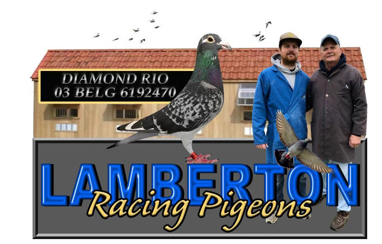 racing pigeon logo